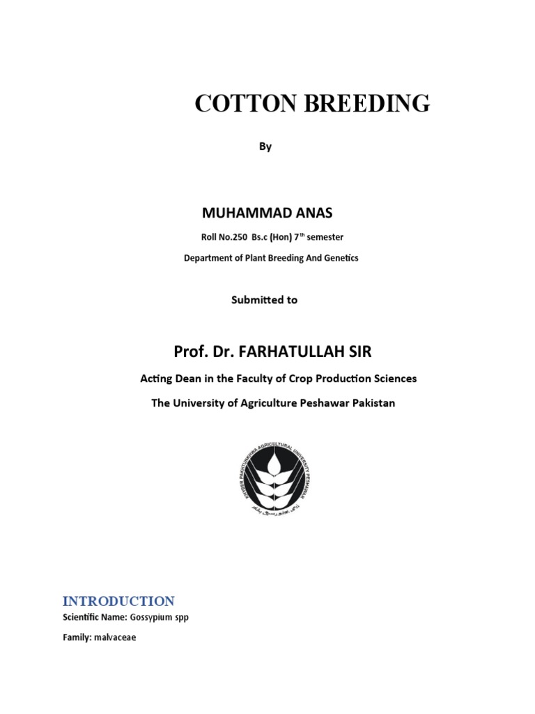 Cotton Breeding Prof Dr Farhatullah Sir Pdf Flowers Pollination