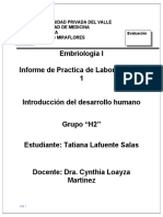 Informe Practica 1 - Tatiana Lafuente