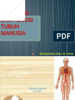 Struktur Dan Fungsi Tubuh Manusia