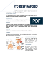 Aparato Respiratorio