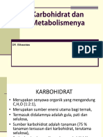  Karbohidrat Dan Metabolismenya
