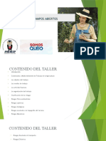 Sistema de Riesgo A Campos Abiertos PDF CESAR BUSTOS NOVIEMBRE 2021