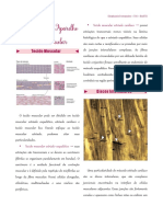 Resumo 05 - Histologia