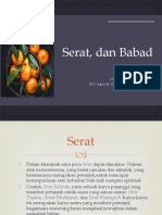 P 2 Serat Dan Babad