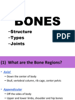 Bones: - Structure - Types - Joints