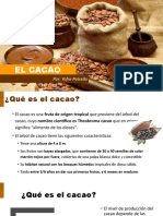 El Cacao v2