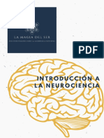 Neurociencia PDF