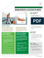 Ft_plan Nacional de Erradicación de La Silicosis (Planesi)