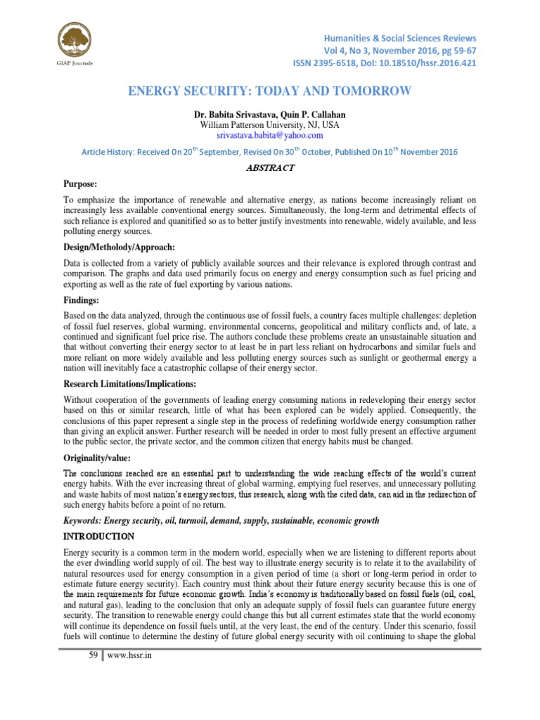 South Africa's Energy Security Trends | PDF | Energy Security | Energy ...