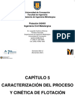 Capitulo 5-Caracterizacion de Proceso y Cinetica