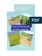 Costos Rubros Agricolas 2009 MAG-DGP-UEA