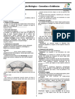 Aula 01 - Evolução Biológica - Conceitos e Evidências