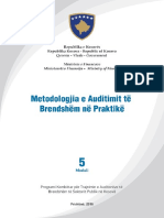 Metodologjia e Auditimit