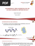 Área Superficial Específica (SBET) - EXPOSICIÓN | PDF | Adsorción ...