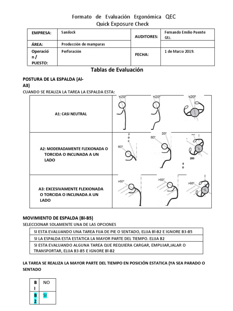 Formato de Evaluacion Ergomomica Qec Op 3 | PDF | Factores humanos y ...