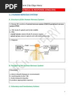 Chapter 1: Stimuli & Response (English) : 1.1 Human Nervous System