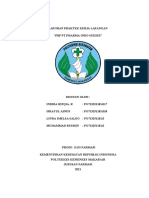 LAPORAN PBF PT - PIS Fix