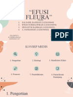 Efusi Fleura Klpk 4