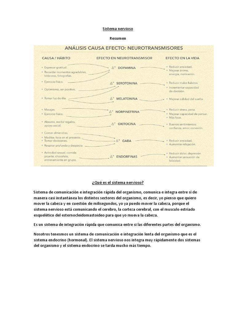 Sistema Nervioso Resumen | PDF | Sinapsis | Potencial de acción