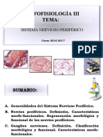 CO3 - Sistema Nervioso Periférico