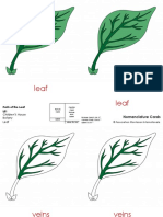 Leaf Leaf Leaf: Nomenclature Cards