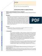 Cellular Sources of Liver Fibrosis