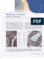 Capitulo VII Membranas Estructura Química y Función