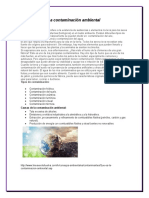 La Contaminación Ambiental