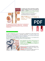 ANTICOAGULANTES Paola