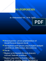 HEMATOPOIESIS