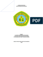 Laporan Praktikum Sistem Pernapsan Serangga