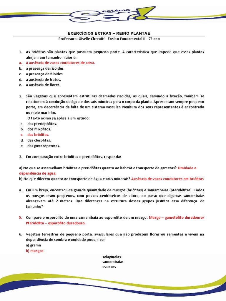 EXERCÍCIOS EXTRAS REINO PLANTAE Professora - Giselle Cherutti - Ensino ...