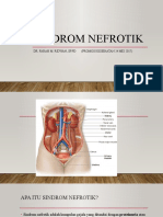 Sindrom Nefrotik