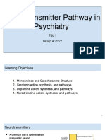 Neurotransmitter Pathway in Psychiatry