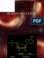 Acidos Nucleicos