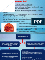 BIOLOGI SEL - Materi3.BIO Sel Ke-4 Sistem MEMBRAN A