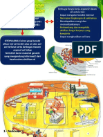 BIOLOGI SEL - Materi5.BIO Sel Ke-5 Transport Dalam Sistem MEMBRAN