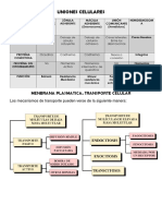 Parcial 1 de Morfo (Notas) Imagenes