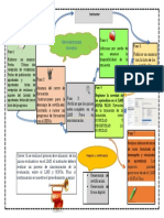 Mapa Cierre Del Proceso Formativo