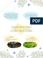 Infografia Degradación Del Suelo