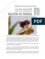 Agonía de Polinizadores, Una Amenaza para Colombia