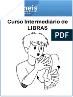 PDF-Intermediario Introducao Parametros