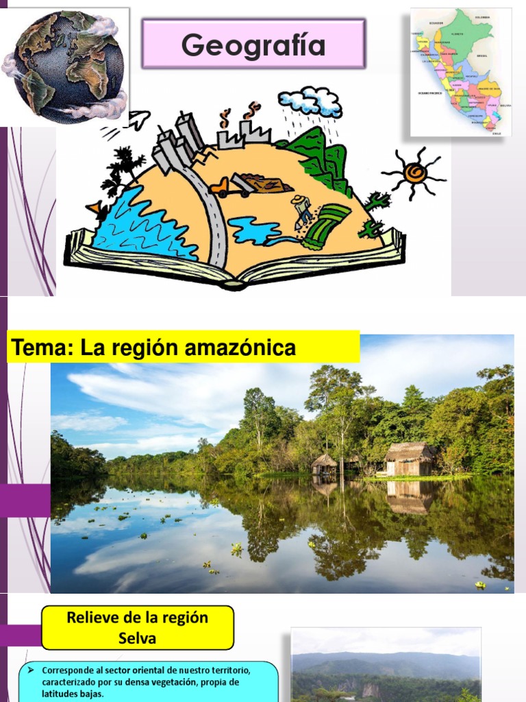 Relieve de la Región Amazónica | PDF | Geografía Física | Geomorfología