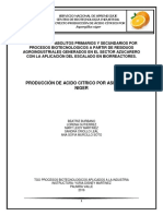 Acido Citrico Informe FINAL - FINAL