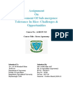 Assignment On Improvement of Sub-Mergence Tolerance in Rice: Challenges & Opportunities