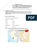 01.resumen Ejecutivo