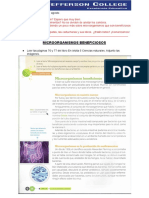 Microorganismo Beneficioso Clase para 5to