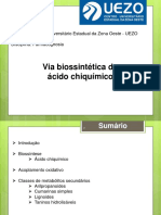 Via Biossintética Do Ácido Chiquímico 05 09 2019