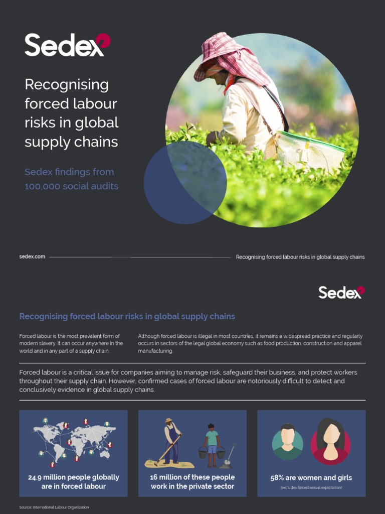 Recognising Forced Labour Risks in Global Supply Chains, With Data From ...