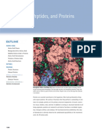 Amino Acids, Peptides & Proteins